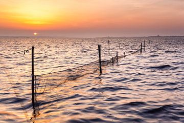 Lever de soleil sur le Lauwersmeer sur Evert Jan Luchies