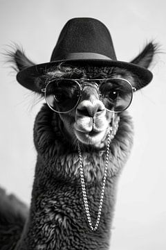 Lama met zonnebril en strohoed die stijlvol poseert van Felix Brönnimann