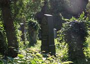 Zentralfriedhof 1 von Ilona Picha-Höberth Miniaturansicht