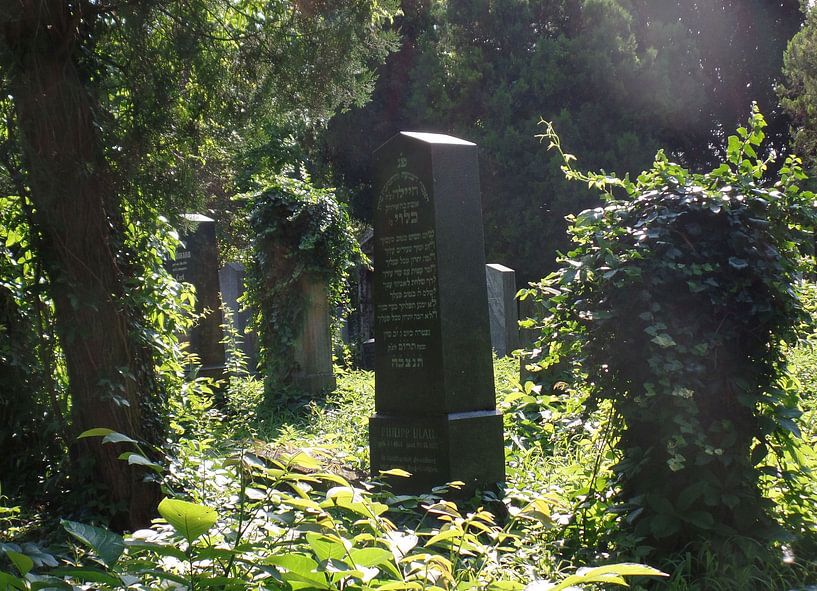 Zentralfriedhof 1 von Ilona Picha-Höberth