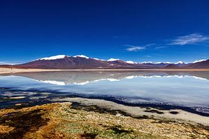 Die Laguna Colorada in Bolivien