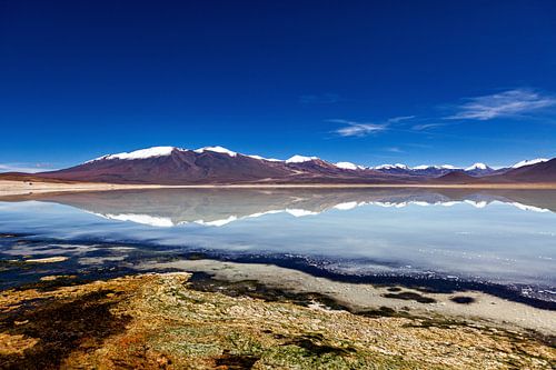 De Laguna Colorada in Bolivia