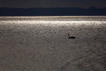 Usedom, Achterwasser van Thomas Jäger