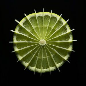 Pi von Limette