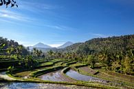 de 3 heilige bergen van Bali (Mt Batur, Mt Abang, Mt Agung) in de ochtend zon van Tjeerd Kruse thumbnail
