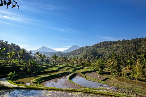 the 3 holy mountains of Bali (Mt Batur, Mt Abang, Mt Agung) in the morning sun