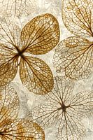 Warm country colors: The hydrangea leaves