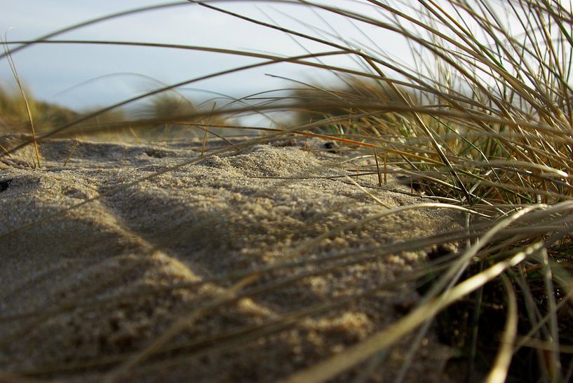 On the Lister Dune by Norbert Sülzner