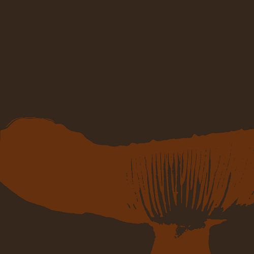 Spores in a fungus