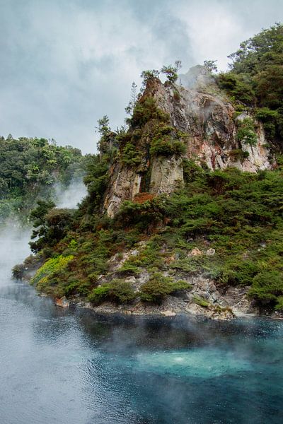 Waimangu thermal valley, New Zealand by Nynke Altenburg