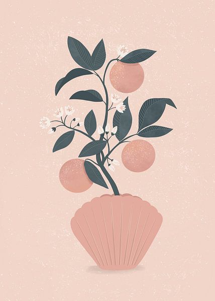 Mandarinenschale von Katarzyna Gąsiorowska
