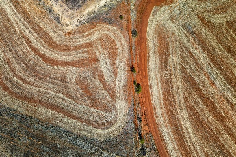 Luftaufnahme des Weizengürtels in Westaustralien von Heiko Meier