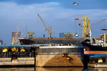 Schepen en overslag in de haven van Rotterdam van Peter de Kievith Fotografie