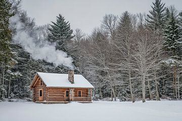 Hut in de sneeuw van Poster Art Shop