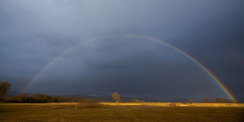 Complete rainbow over barren marshland with single tree in the middle during stormy weather with dra by Robert Ruidl