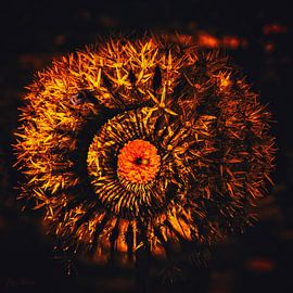 In der Mitte von Helga Blanke