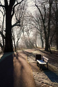 Romantische sfeer in het Rotehornpark aan de oever van de oude Elbe in Maagdenburg van Heiko Kueverling