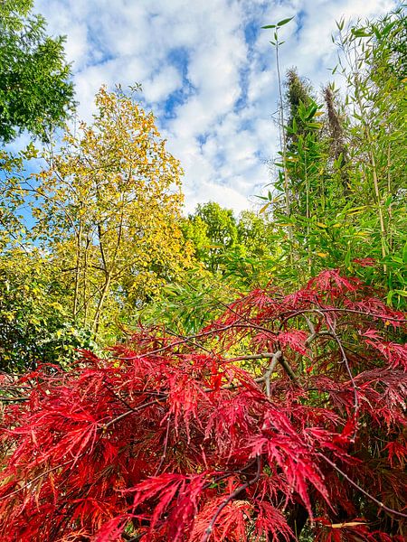 Natural colours by JM BilderBude