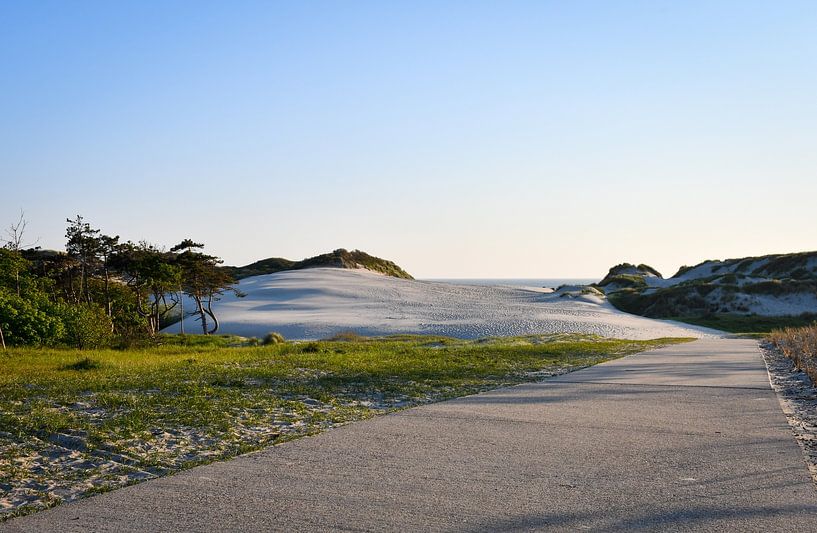 Footpath through the dunes by Veelzijdig Zeeland