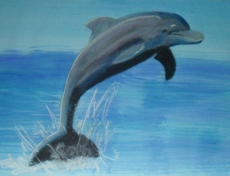Delfin von Babetts Bildergalerie