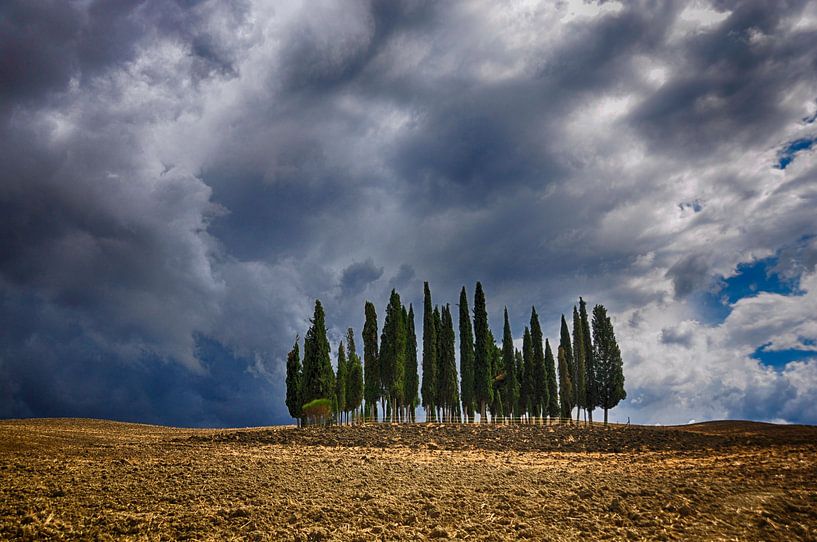 Dreigende wolken boven Toscaanse cipressen van Thea Oranje