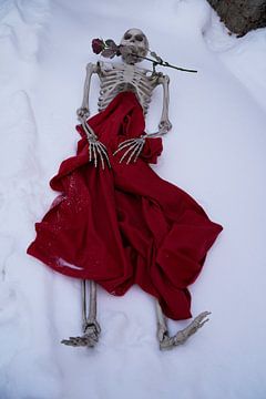 Eeuwige liefde skelet met rode roos in witte sneeuw