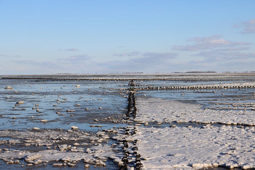 Frozen Wadden Sea by Helga Feenstra