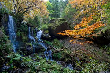 Cascade in the heart of the Auvergne by Tanja Voigt