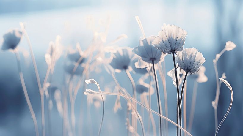 Blue Winter Mood von Treechild