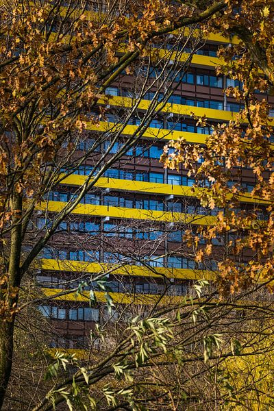 Autumn in the city by Patrick Verhoef