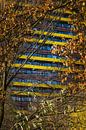 Autumn in the city by Patrick Verhoef thumbnail