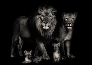 Familie Lions