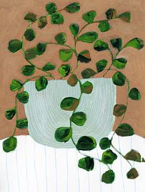 Stilllife Peperomia by Nikita Jariwala