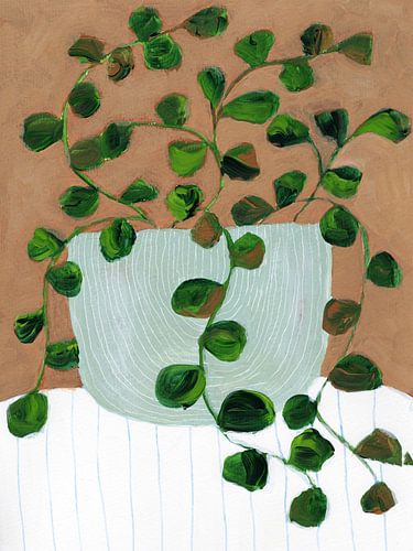Stilleven Peperomia
