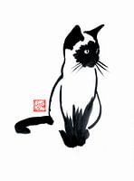 siamese kat