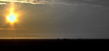 zonsopgang noord-hollands polder landschap van Sanne Willemsen
