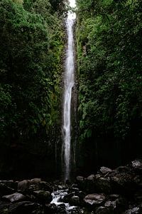 Cascade