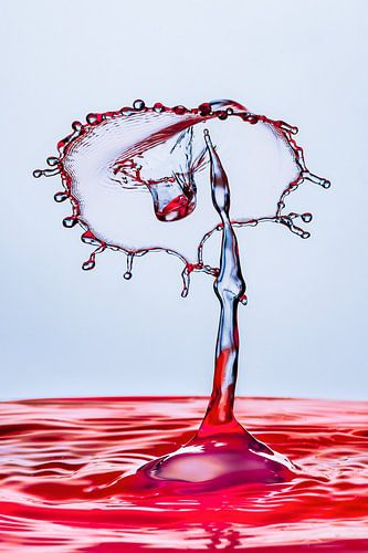 Goutte #43