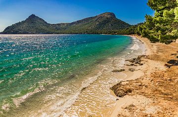 Beautiful sand beach scenery on Mallorca island, beach Platja de Formentor, Spain by Alex Winter