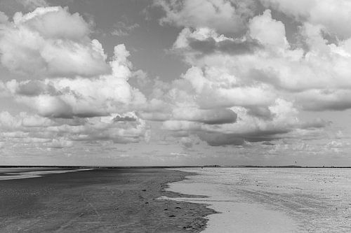 Zandvlakte nabij De Cocksdorp