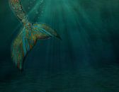 Mermaid by Anne Seltmann thumbnail