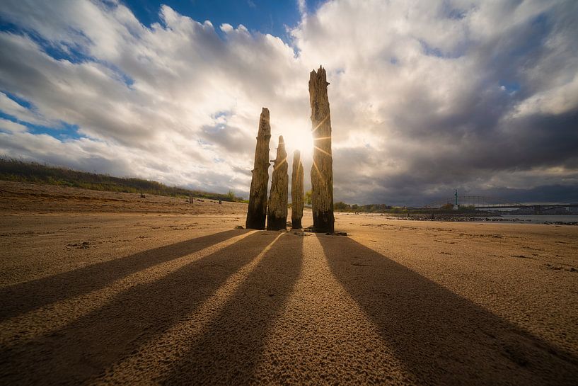 Riddle Poles by Jeroen Lagerwerf