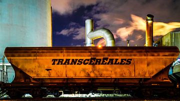 Transcereales 2