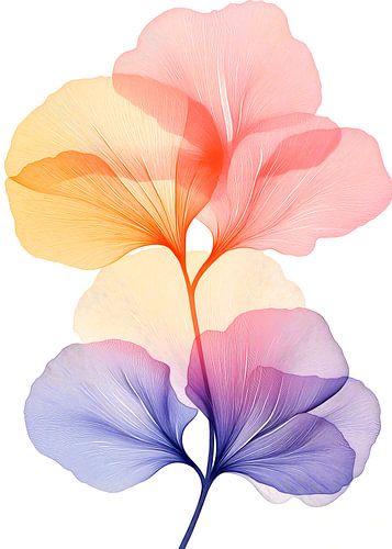 Wilde bloemen Altijd groene bloemen 21 gingko biloba