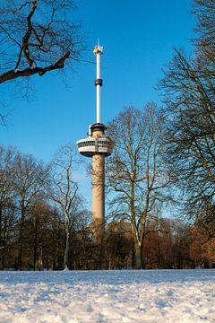 The Euromast - winter 7