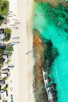 Aerial Summer - Between Two Worlds