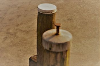 Pôle du lac dans la glace