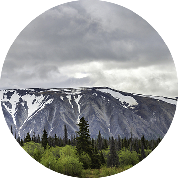 Langgerekte berg in Alaska onder een donkere wolk van Rietje Bulthuis