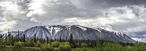 Langgerekte berg in Alaska onder een donkere wolk