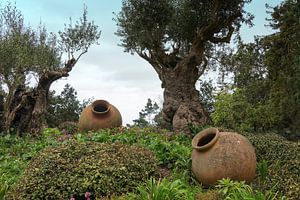 botanical garden in Funchal Madeira